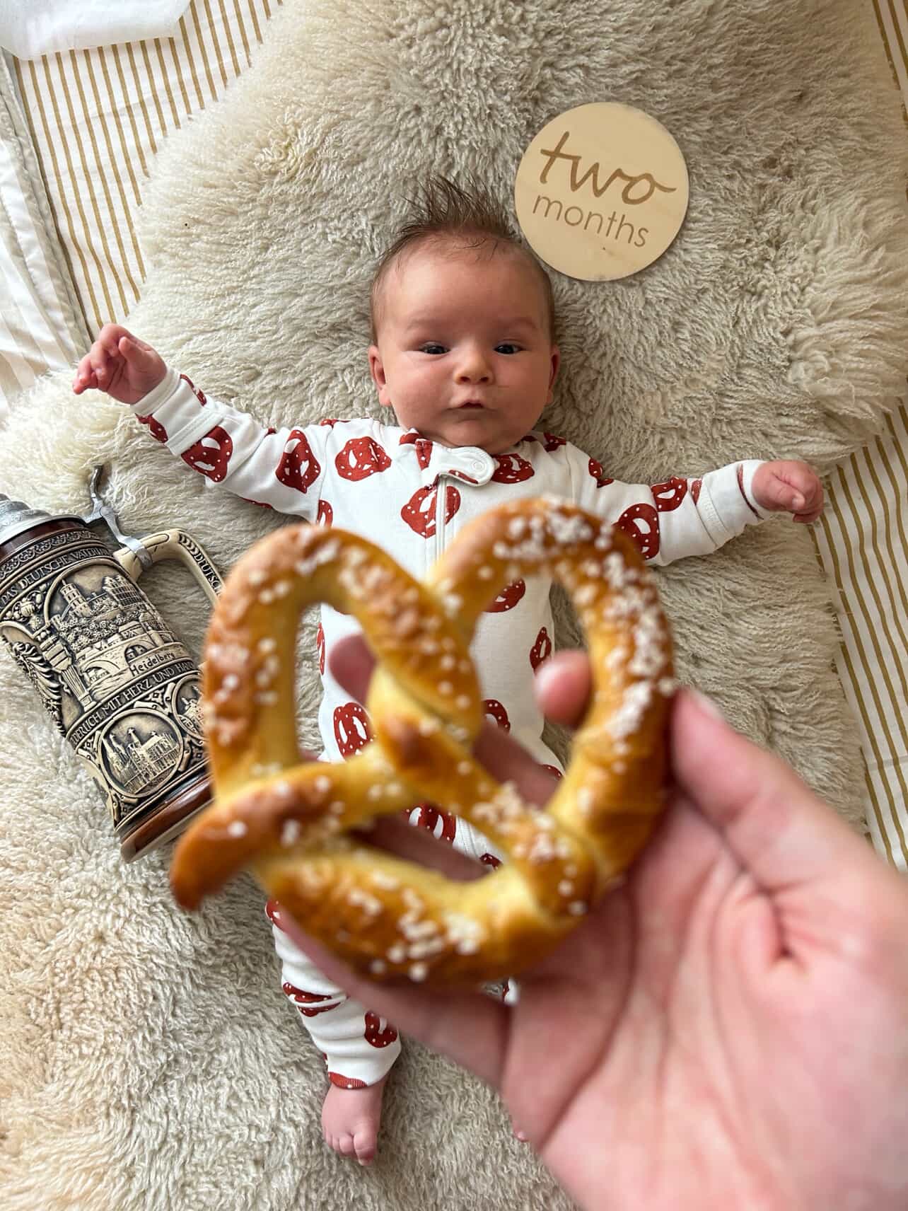 Ali+Oli - Baby Monthly Milestone Photo Prop Cards (24 milestones)