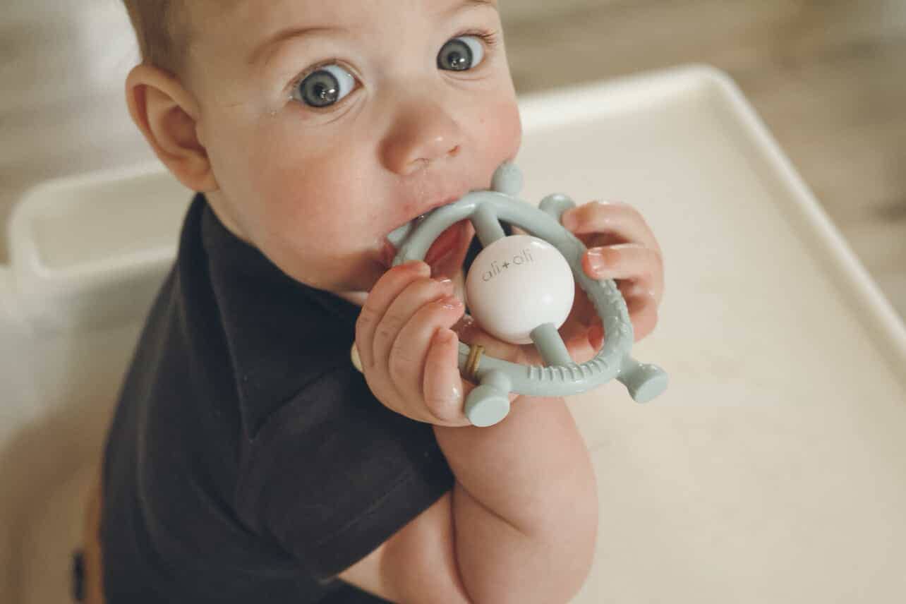 Ali+Oli - Giraffe Teether & Rattle Food-Grade Silicone Toy (Mist)